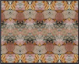s20c_3015