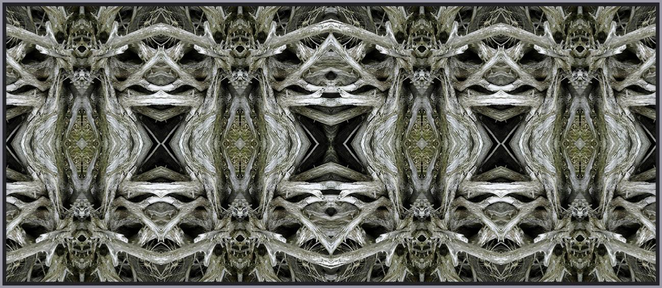 s16c-0361