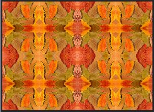 st16p-0519